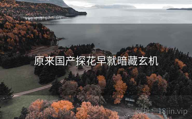 原来国产探花早就暗藏玄机