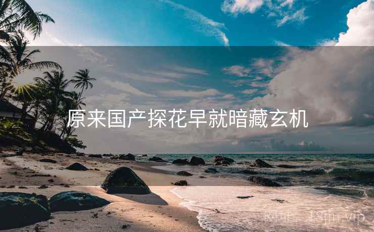 原来国产探花早就暗藏玄机