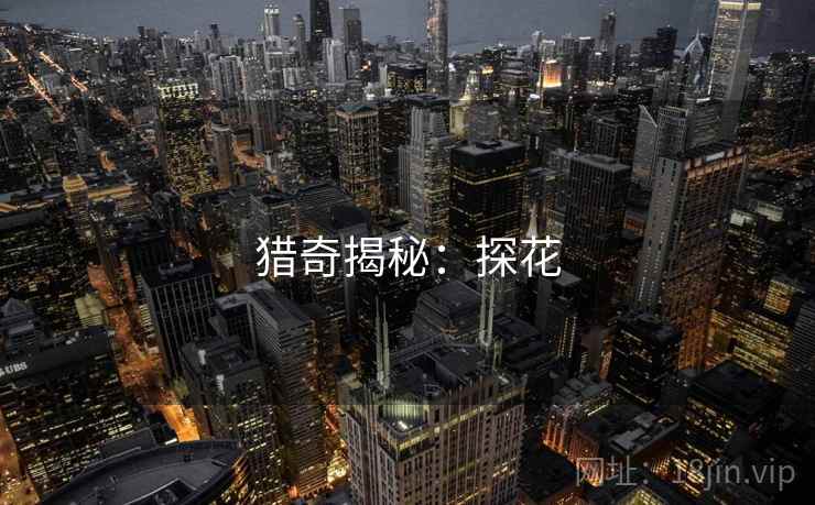 猎奇揭秘：探花