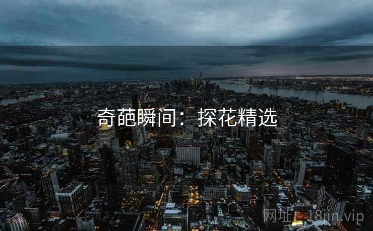 奇葩瞬间：探花精选