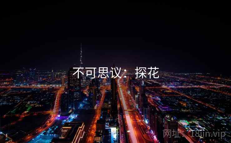 不可思议:探花 不可思议:探花
