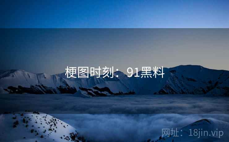梗图时刻:91黑料 梗图时刻:91黑料