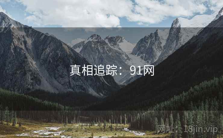 真相追踪:91网