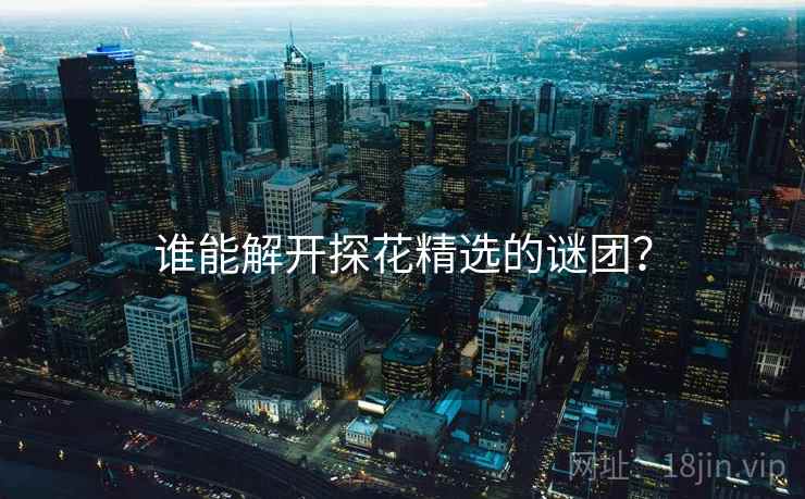 谁能解开探花精选的谜团?