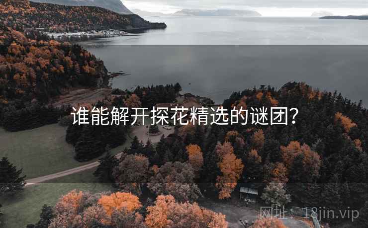谁能解开探花精选的谜团? 谁能解开探花精选的谜团?