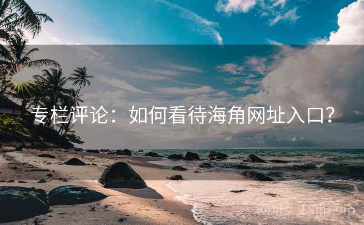 专栏评论:如何看待海角网址入口?
