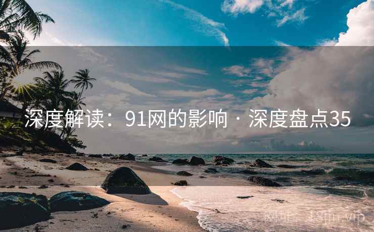 深度解读:91网的影响 · 深度盘点35